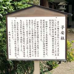 投稿日:2022年9月7日 写真