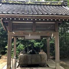 投稿日:2022年9月1日 写真