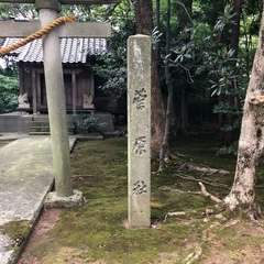 投稿日:2022年9月2日 写真