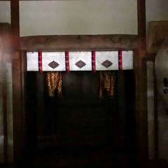 投稿日:2022年9月3日 写真