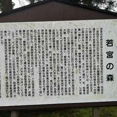 投稿日:2020年1月23日 写真