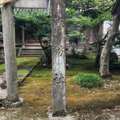 投稿日:2022年9月4日 写真