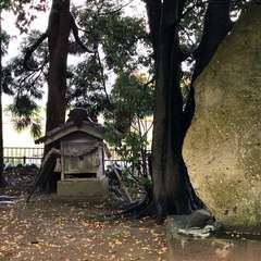 写真