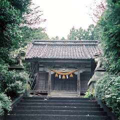 写真