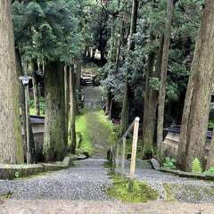 投稿日:2025年6月25日 写真