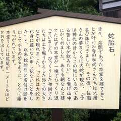 投稿日:2025年9月17日 写真