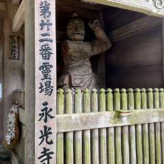 投稿日:2025年6月25日 写真