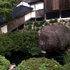 投稿日:2025年9月17日 写真