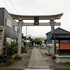 写真