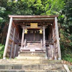 写真