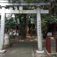 投稿日:2016年8月1日 写真