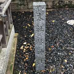 投稿日:2023年5月22日 写真