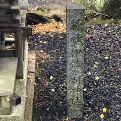 投稿日:2023年4月29日 写真