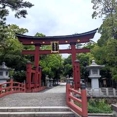 投稿日:2025年5月12日 写真