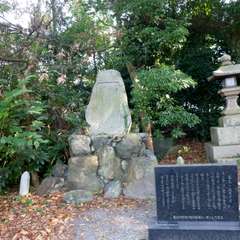 投稿日:2016年8月1日 写真