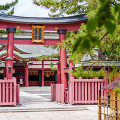 投稿日:2024年9月13日 写真