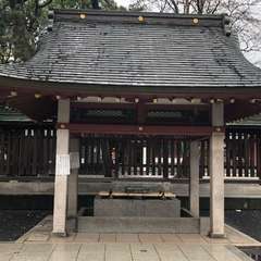 投稿日:2023年4月21日 写真