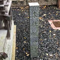 投稿日:2023年5月16日 写真