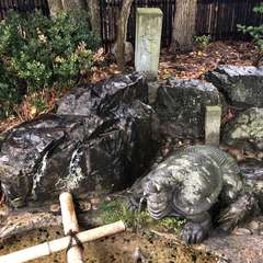 投稿日:2023年4月21日 写真