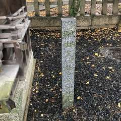 投稿日:2023年5月4日 写真