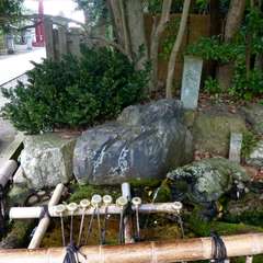 投稿日:2016年8月1日 写真