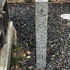 投稿日:2023年6月11日 写真