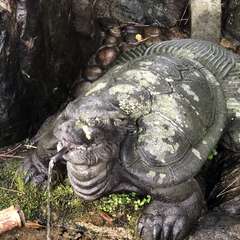 投稿日:2023年4月21日 写真