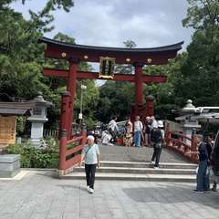 投稿日:2024年9月15日 写真