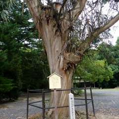 投稿日:2016年8月1日 写真