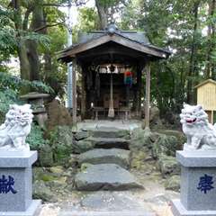 投稿日:2016年8月1日 写真