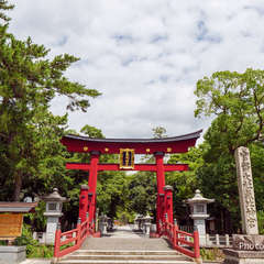 投稿日:2024年9月13日 写真