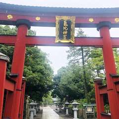 投稿日:2019年8月23日 写真