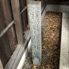 投稿日:2023年4月22日 写真