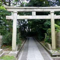 投稿日:2016年8月1日 写真