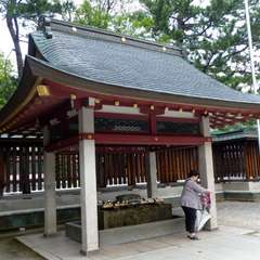 投稿日:2016年8月1日 写真