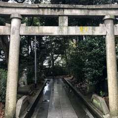 投稿日:2023年4月21日 写真