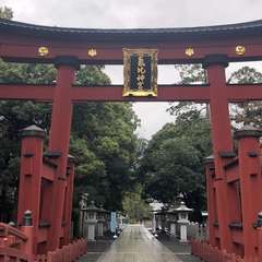 投稿日:2023年4月21日 写真