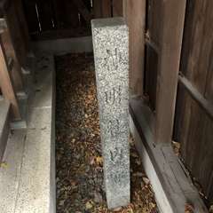 投稿日:2023年4月22日 写真