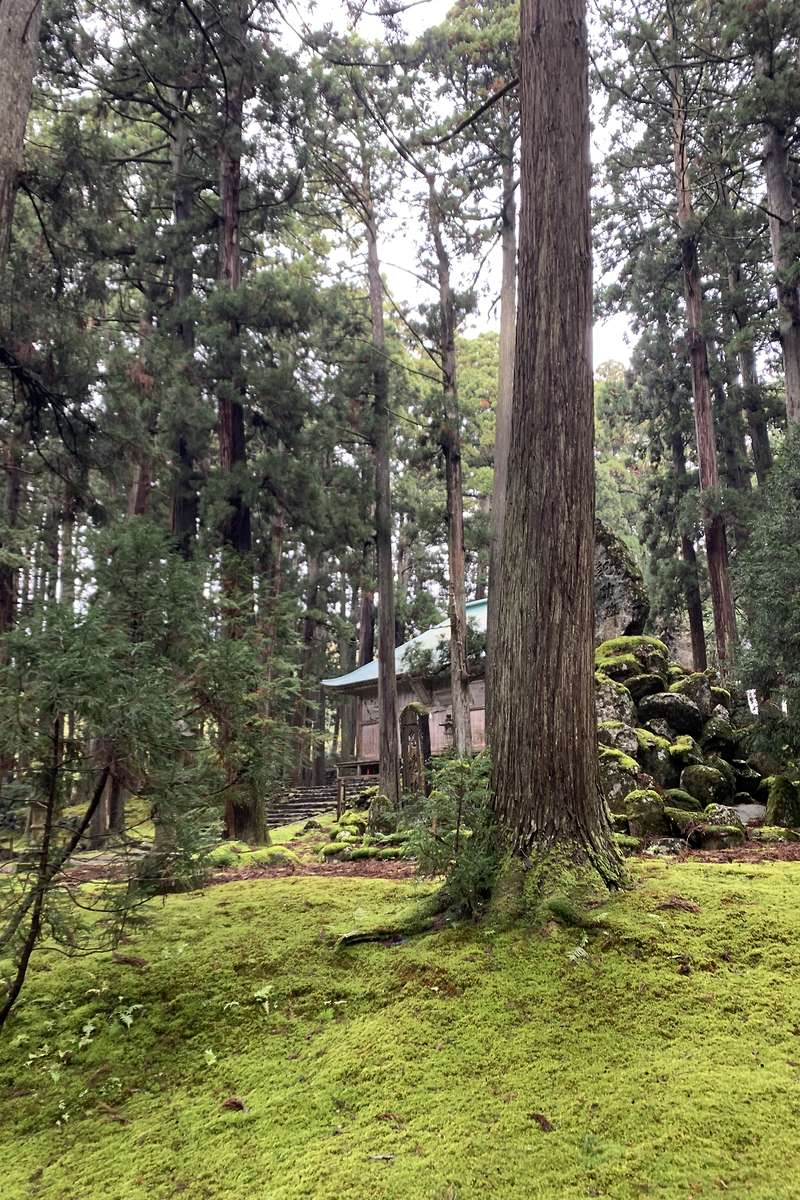 平泉寺白山神社｜⛩平泉寺白山神社｜福井県勝山市 八百万の神