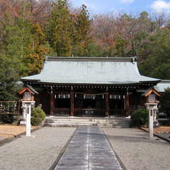 投稿日:2023年12月16日 写真