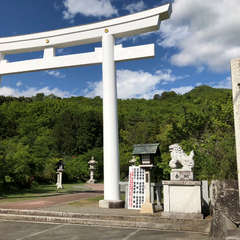 投稿日:2018年4月25日 写真