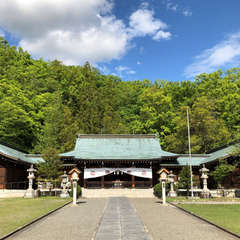 投稿日:2018年4月25日 写真