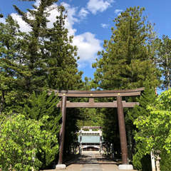 投稿日:2018年4月25日 写真