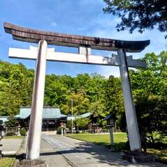 投稿日:2025年5月22日 写真