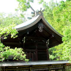 投稿日:2025年7月4日 写真