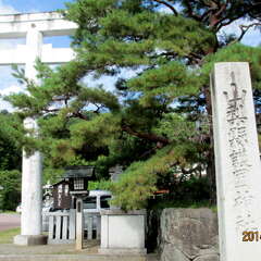 投稿日:2025年7月4日 写真