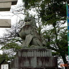 投稿日:2025年8月14日 写真