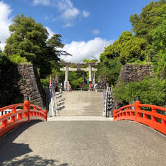 投稿日:2018年4月25日 写真