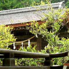 投稿日:2025年6月12日 写真