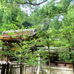 投稿日:2025年7月4日 写真